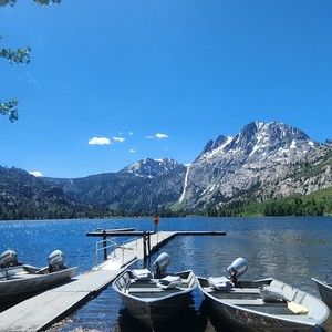 Meet your Posher, Linh